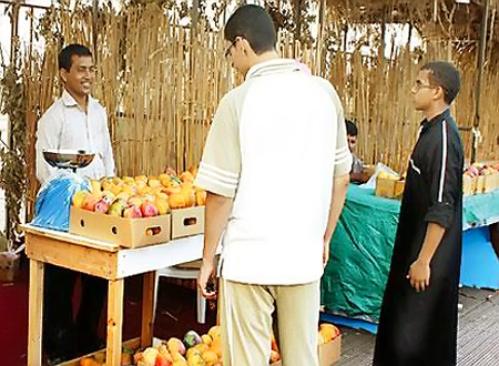 مهرجان للمانجو ينطلق في محافظة القنفذة السعودية 