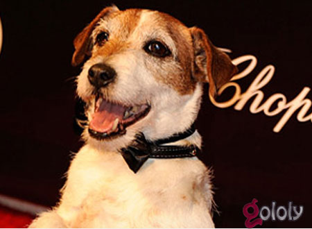 كتاب عن قصة حياة أشهر كلب في السينما العالمية