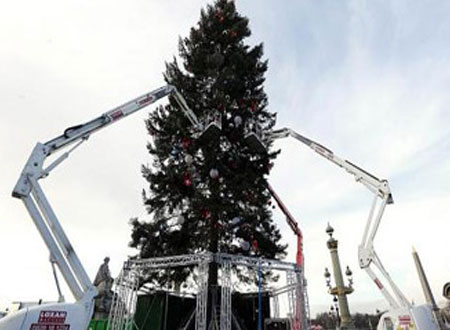 &laquo;شجرة الصنوبر&raquo; أكبر شجرة أعياد الميلاد في باريس