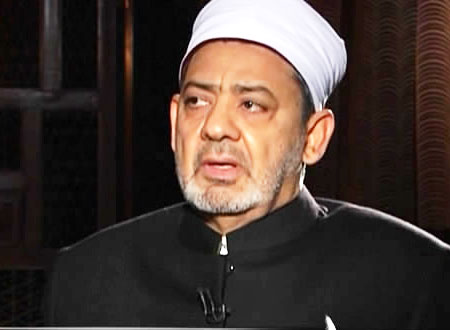 مهنا: أحمد الطيب سيتدخل لحل أزمة أسوان