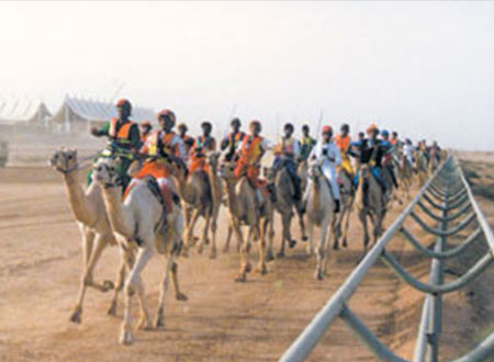 انطلاق مهرجان الشيخ زايد لسباق الهجن بالأردن 