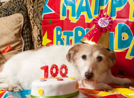 بالصور.. رجل بريطاني يحتفل بعيد ميلاد كلبه الـ100!