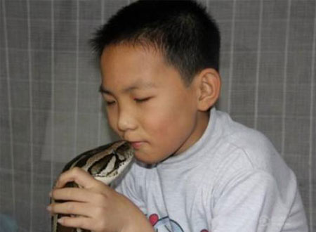 بالصور.. طفل صيني ينام مع ثعبان ضخم منذ 5 سنوات
