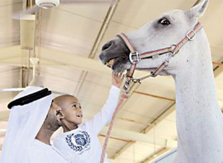 سلطان بن خليفة يهدي طفلاً جواداً عربياً أصيلاً