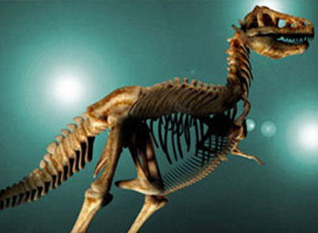 اكتشاف أكبر ديناصور عاش على الأرض