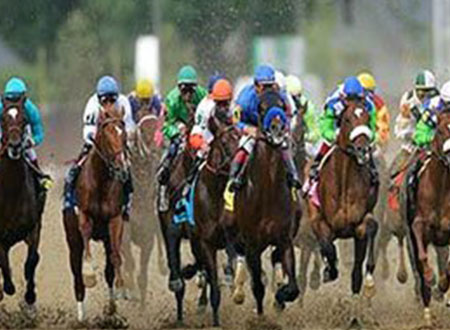 الإمارات تنظم مؤتمرا دوليا للخيول العربية فى بولندا 