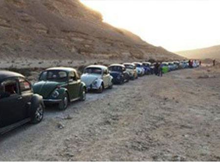 رحلة للنادى المصرى للبيتلز إلى محمية وادى دجلة بـ 20 سيارة