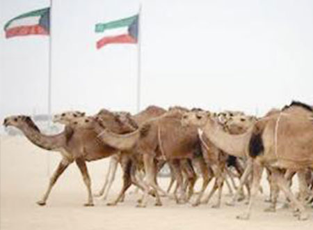 اليوم... انطلاق مهرجان الموروث الشعبي الرابع