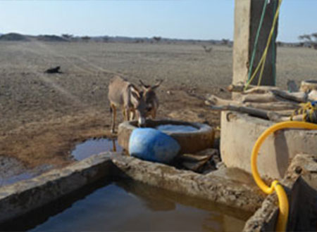 صناع الحياة تفتتح أول بئر بحملة تنمية حلايب وشلاتين