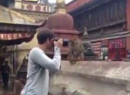 ماذا فعلت أنثى القرد من مصور حاول تصوير رضيعها!.. فيديو