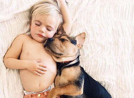 شاهد.. علاقة صداقة قوية تجمع طفل وكلبه تظهر أثناء نومهما