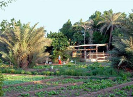 مليونيرة بريطانية تحرم قريتها من ميراثها