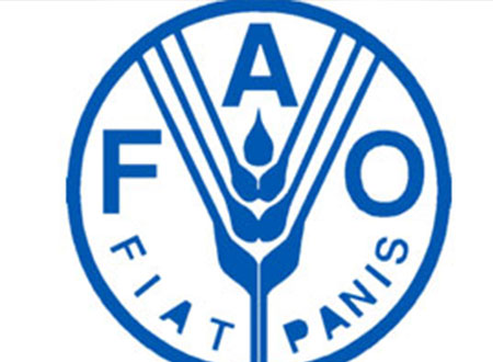 &laquo;الفاو&raquo; تحيى يوم 21 مارس الاحتفال باليوم الدولى للغابات