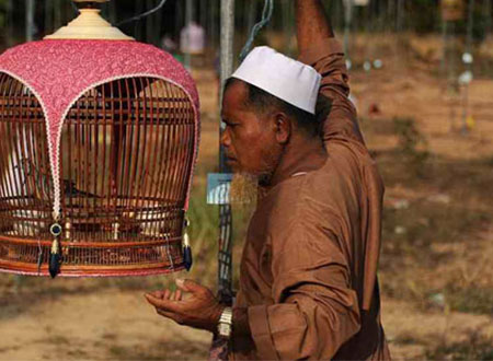 مسابقة لغناء الطيور.. صور