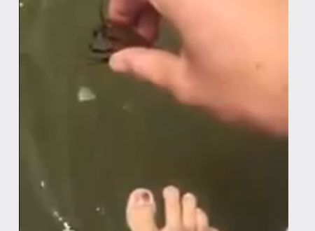 رجل يصطاد الأسماك بأصابع قدمه