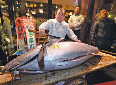 بيع أكبر سمكة تونة في مزاد بمبلغ خيالي