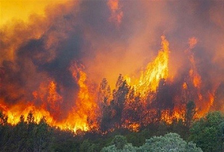 مشاهير يفرون من حرائق الغابات بلوس أنجلوس