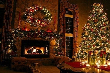 شاهد أطرف الصور لتسريحة شجرة عيد الميلاد
