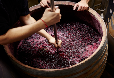 نبيذ يتدفق من صنابير المياه في قرية إيطالية.. صور وفيديو