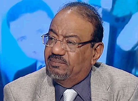 دكتور نبيل عبد الفتاح، أستاذ العلوم السياسية 
