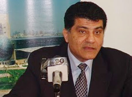 محمد النشائي: عمر سليمان هو الأنسب لرئاسة مصر