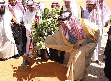 أمين الرياض يرعى انطلاق أسبوع الشجرة 