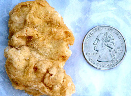 بيع قطعة دجاج تشبه جورج واشنطن في مزاد على الانترنت